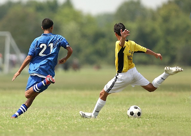 Master Sports Betting